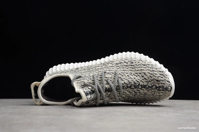 AQ4832 Boost Adidas YEEZY Dove 350 Turtle 0821